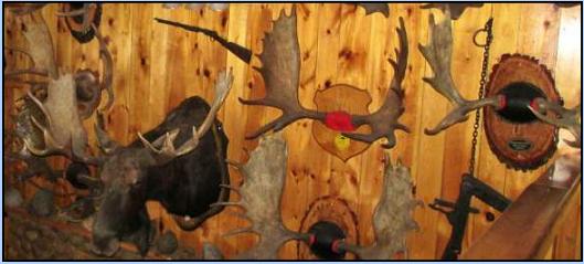 Canada Moose Hunting